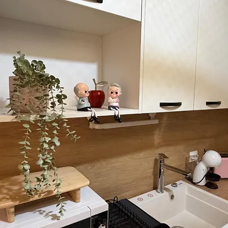 Brassovia Hideaway Apartment *
