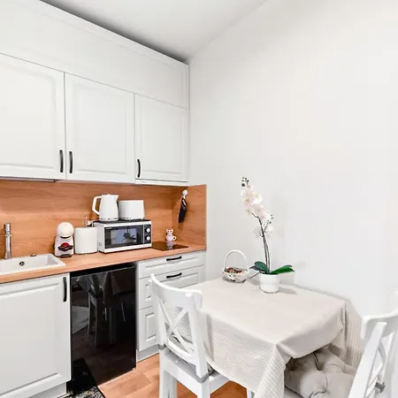 Apartment Brassovia Hideaway Brasov