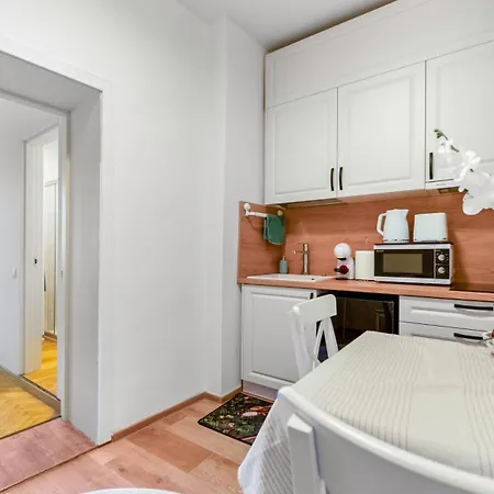 Brassovia Hideaway Apartment