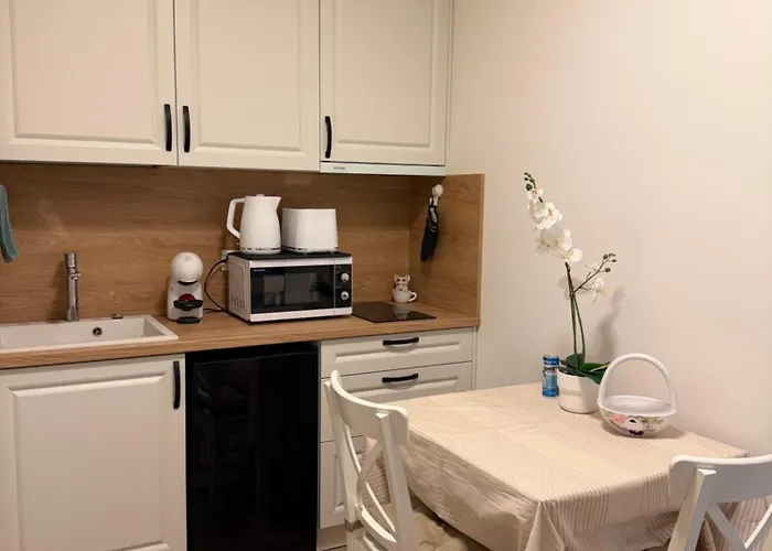 Apartment Brassovia Hideaway *