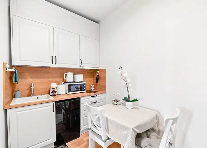 Apartment Brassovia Hideaway Brasov