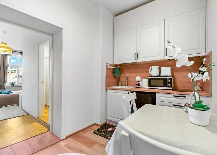 Brassovia Hideaway Apartament